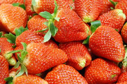 新鮮草莓